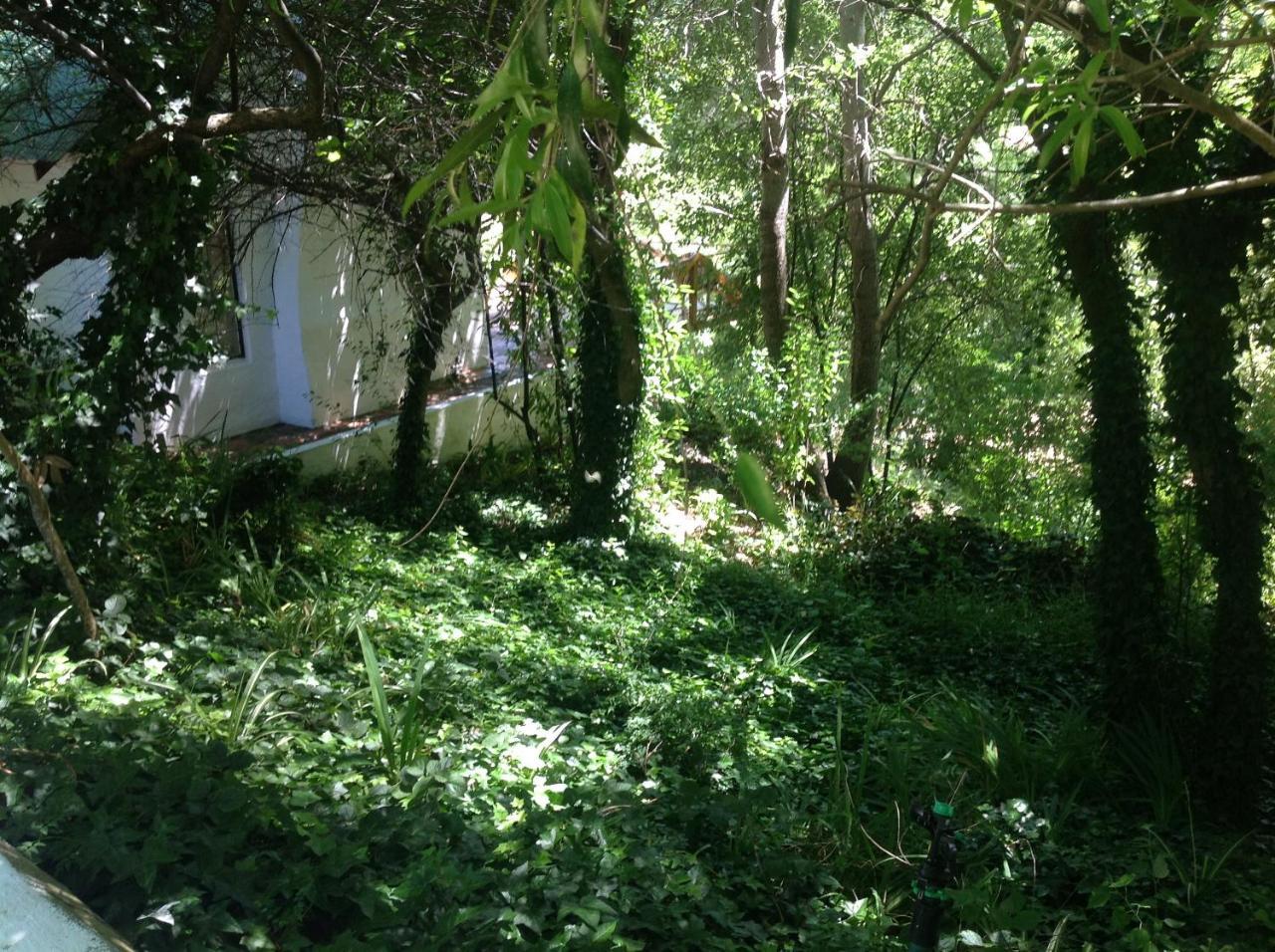 Little Willow Brooke Franschhoek Exterior foto