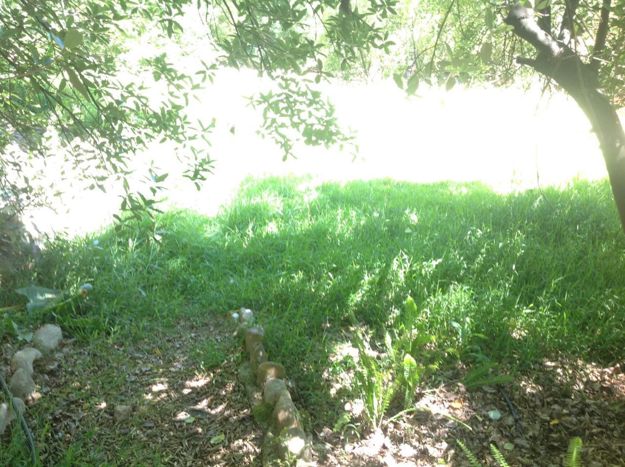 Little Willow Brooke Franschhoek Exterior foto